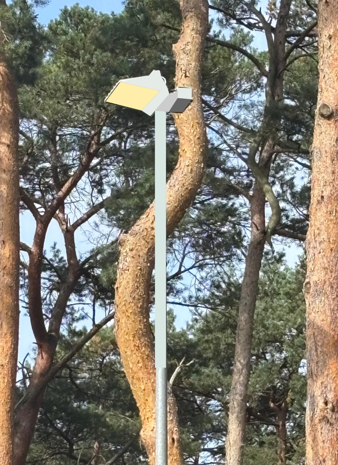 Erster vereinfachter Entwurf des Flutlichts